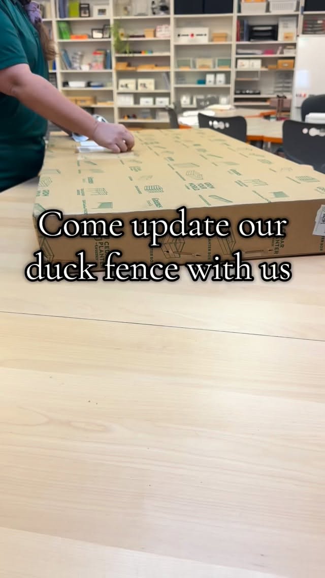 New fence reveal! #Florida #ducks #garden #outdoors