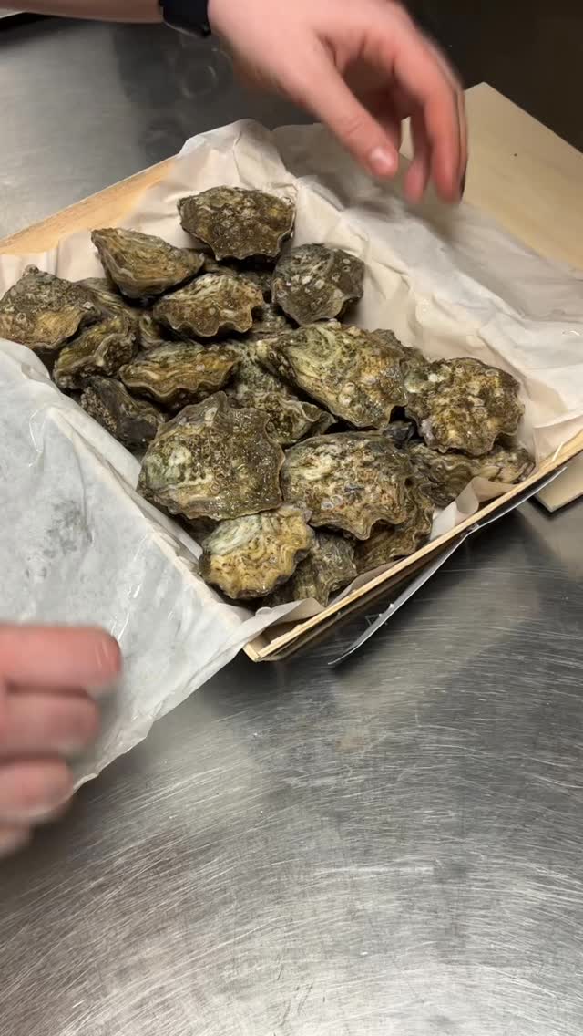 Which one is your favorite? 🦪
Make your reservation now !!
https://www.dewaagdelft.com/?ved=2ahUKEwjx_vqJjfKRAxUBxAIHHVH4HpAQgU96BAgtEAQ
#delft #oysters #dewaag #restaurant #hotspotdelft