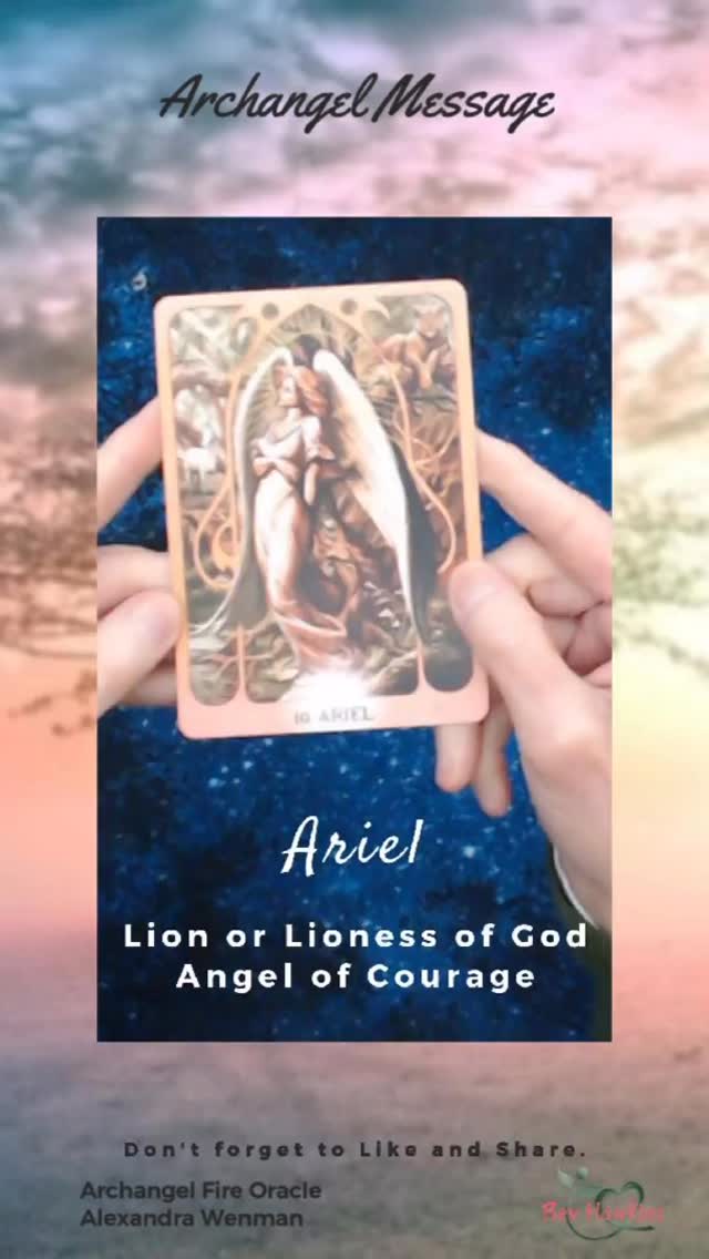 Archangel Ariel | Angel of Courage
Archangel Ariel, angel of courage and strength of heart 🪽
Call on Ariel when you need bravery, confidence, and the power to stand in your truth.
Let your heart lead. Let courage rise. ✨
#ArchangelAriel
#AngelGuidance
#DivineCourage
#StrengthOfHeart
#AngelicSupport