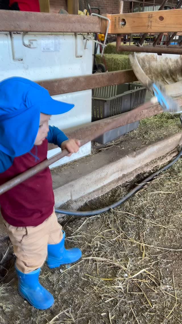 Raking poop like his dada… or trying to anyway