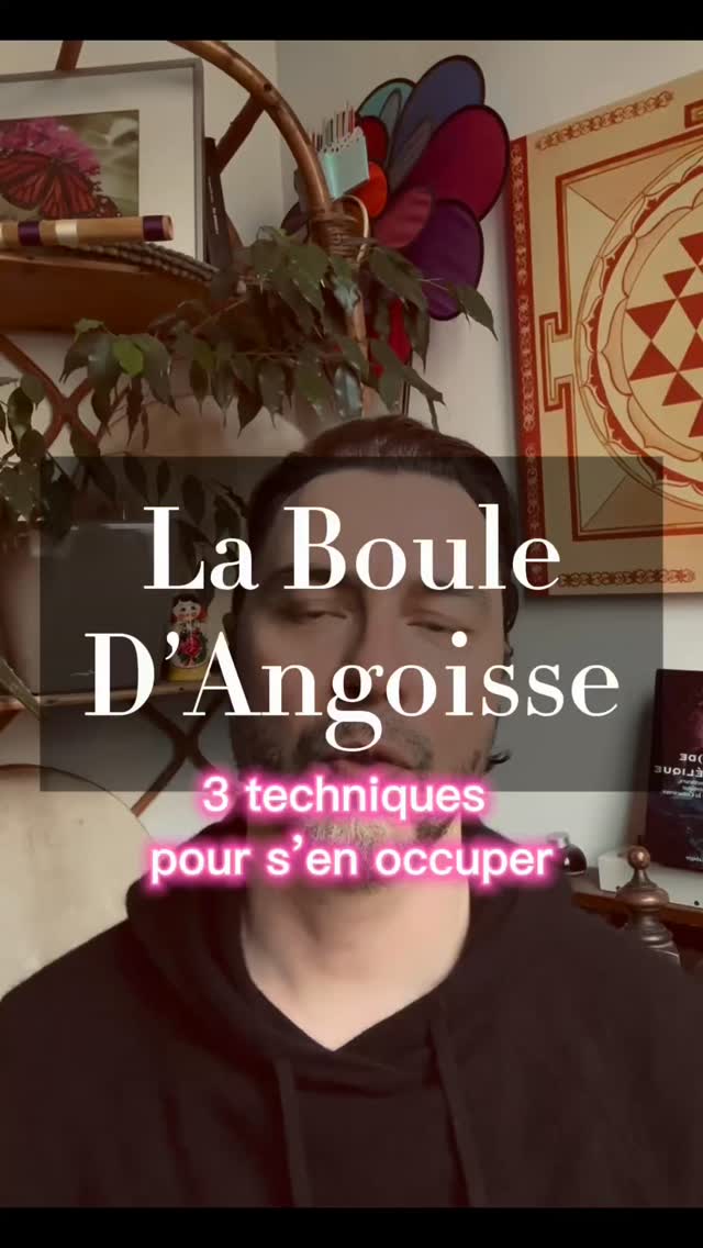 Réguler son système nerveux avec 3 techniques simples… #stress #angoisse #anxiété
Petit problème de son au début, ça s’améliore ensuite…