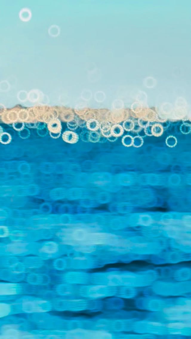 It’s going off this morning, book now if you want in! Booking February striper trips on the Roanoke/Albermarle sound and Pamlico Specs. #inshorefishing #inshore #troutfishing #trout #speckledtrout #stripers #striperfishing