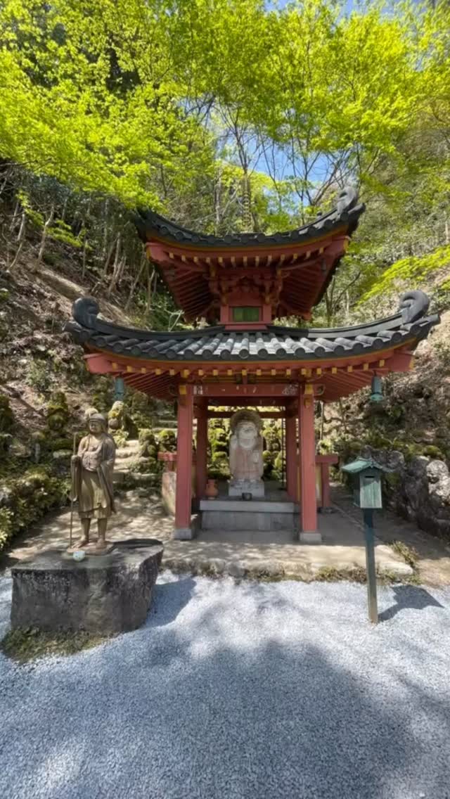 Otagi Nenbutsu-ji
Kyoto 📍 Japan
🔴 meNippon_com
www.meNippon.com
#kyoto #otaginenbutsuji #japan #japonya