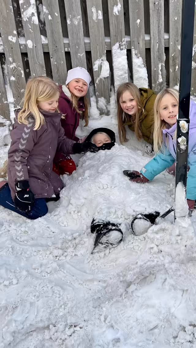 VI ELSKER BARE AL DEN SNE 😍❄️☃️ så I må altså have os undskyldt, at vi sådan spammer jer med snebilleder i disse dage 🫣
Sneen får simpelthen legebarnet frem i både de yngste og de ældste elever - ja selv lærerne finder på ‘undskyldninger’ for at flytte undervisningen udenfor lige i tiden 😅
I går var det 1. klasse, der brugte et par timer på at bygge en iglo ved Det Grønne Hus (når de da ikke lige begravede hinanden under bunker af sne 😆). Det havde de en fest med 😄
I dag rykkede overbygningen så deres idrætsundervisning ud på Knudmosebjerget.
Det var ikke lige til at se, at det var elever fra 8., 9. og 10. klasse, der susede op og ned af ‘bjerget’:
Der var høj latter, glade hvin og store hyl fra både slæder og plasticposer, når de unge mennesker gav den gas på kælkebakken 😄 og de glemte (næsten) helt, HVOR koldt det egentlig var derude i dag 💨🥶
Vi så også en lærer tage den i flot stil ned ad bakken - da de fleste var taget hjem 😅🛷 #godtkørtLotte
Nyd nu weekenden og byg en masse snemænd derhjemme ☃️ og så ses vi igen på mandag 🥰
#SjovISneen #Fællesskab #HerningFriskole #EtGodtStedAtLæreVæreOgVokse