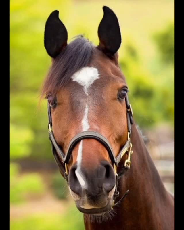 新年、あけましておめでとうございます🎍
本年もヒカリ看板塗装店をどうぞよろしくお願い致します🙇
ご挨拶が遅くなりましたが、弊社は1月5日より営業を開始しております😊
2026年
皆様にとっても良いお年となりますように、心より御祈念申し上げます。
#あけましておめでとうございます
#ヒカリ看板塗装店
#塗装やってます
#二本松市
#看板屋