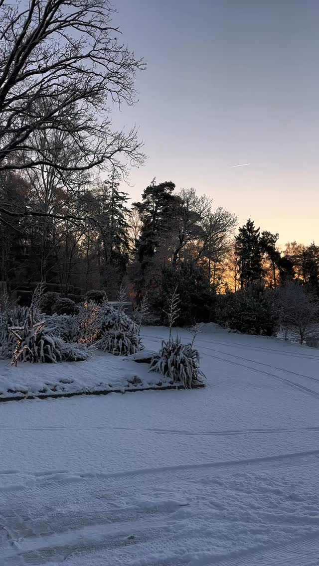❄️☃️