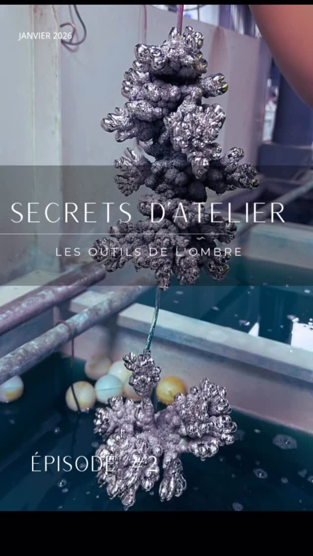 Dans ce deuxième épisode, nous explorons les objets insolites qui garantissent une belle dorure.
1️⃣ Les Sphères Flottantes ⚪ Pourquoi des balles de ping-pong dans les bacs ? Elles permettent de garder la chaleur et d’éviter l’évaporation des produits.
2️⃣ Le « Voleur de Courant » ⚡ Aussi appelé « cathode sacrificielle », cet amas métallique est un véritable garde du corps pour les bijoux. Plongé dans le bain d’électrolyse, son rôle est d’attirer à lui les impuretés et les surtensions électriques. Il se « sacrifie » en accumulant les défauts (comme le trop-plein de cuivre ou de nickel) pour que la pièce précieuse, elle, reçoive un plaquage parfait et homogène. ✨
Je les trouve magnifiques ces sculptures accidentelles, et vous ? Dites-le-moi en commentaire ! 👇
. . #artisanat #savoirfaire #coulissesatelier
