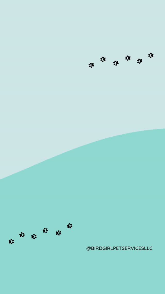 Exotic pet owners understand this 😅
Different care
Different worries
Different needs
And we would not trade it 💛
If this is you drop a 🙋♀️