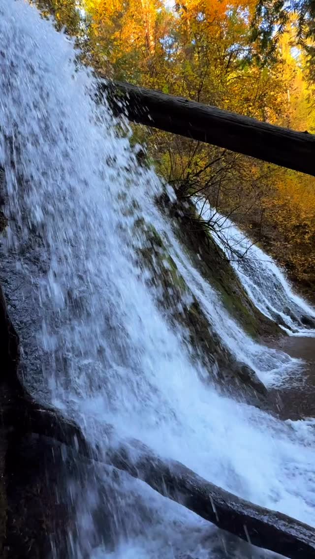 Great things never come from comfort zones