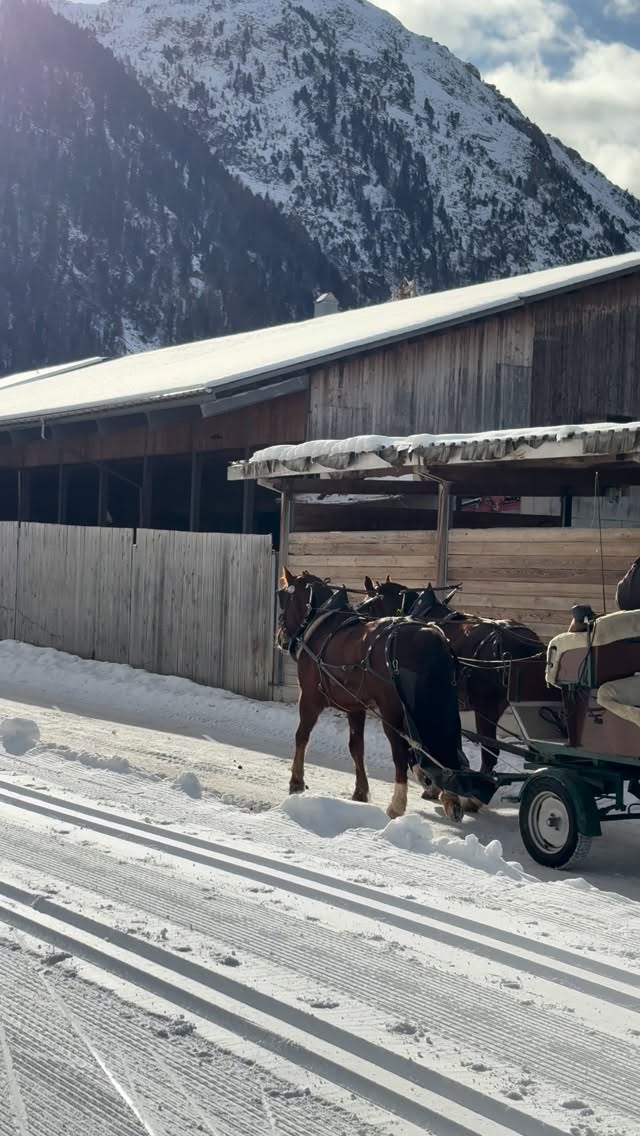 Schweiz 🏔️🏔️🏔️