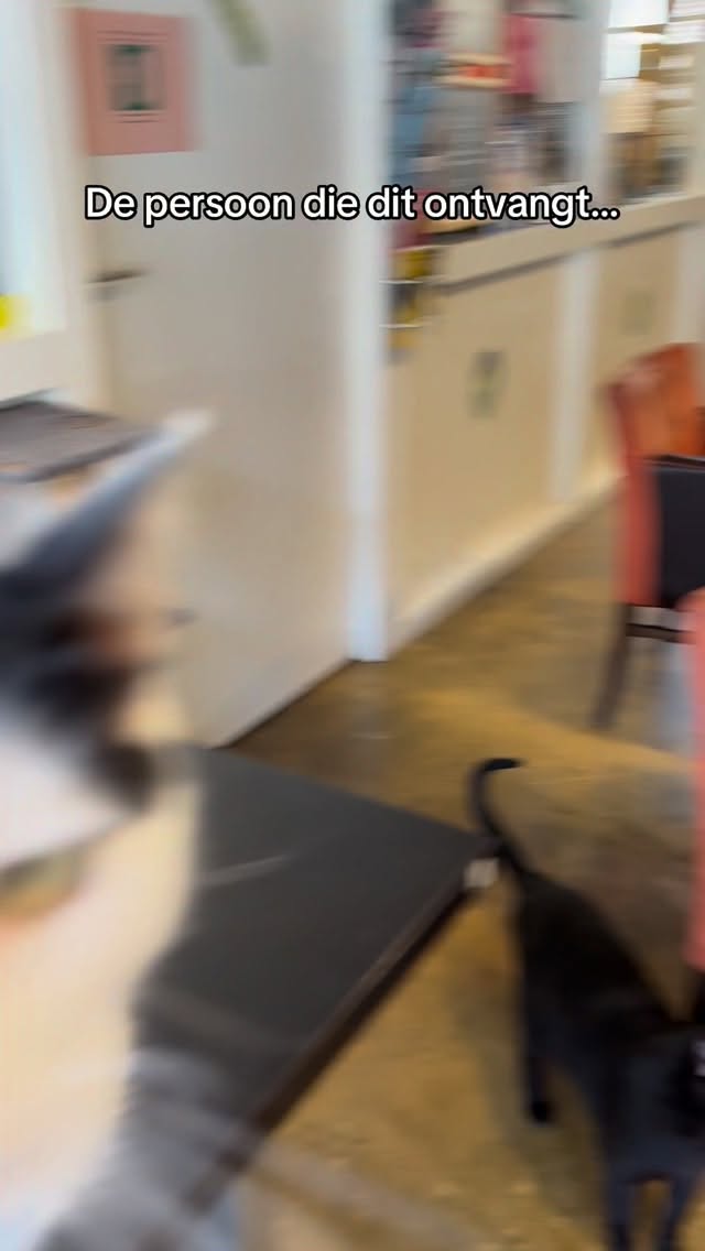 Je hebt je partner in crime zojuist gevonden 😉
Kom samen genieten van koffie, cozy vibes en tien katten die jullie dag nóg beter maken 💛🐾
#kattencafe #2026plans #alkmaar #kattenliefde #catdate