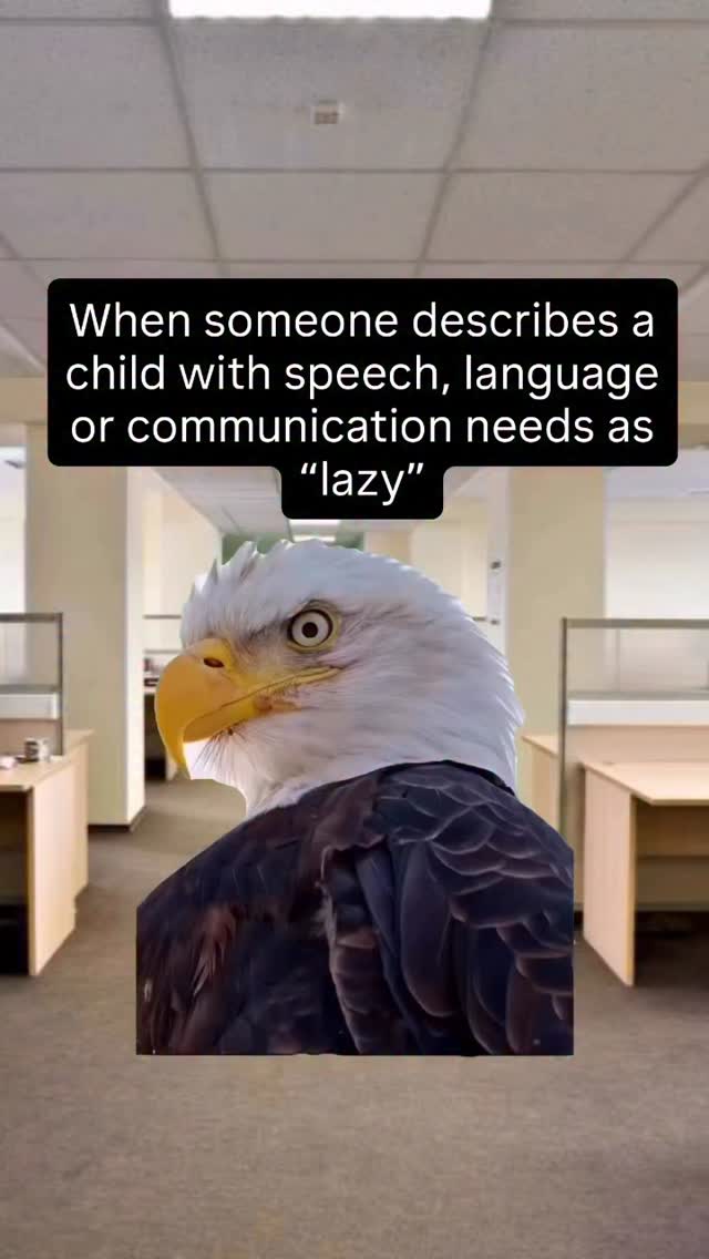 Nothing gets me on my soap box more than hearing an adult describe a child with speech, language and communication needs as “lazy”. Ditto “naughty”; “difficult” or “stupid”.
Because I hate confrontation but I hate discrimination against children with hidden disabilities SO much more…