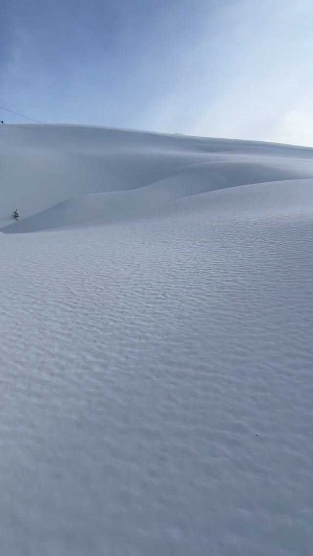 Bienvenue au paradis ! @la_plagne #raquettes #snowshoeing❄️