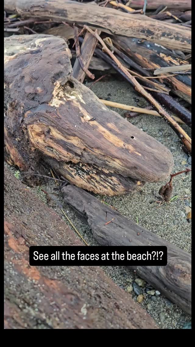 I seem to be able to pick out faces everywhere I go. This time I was at the beach picking out faces of animals and people in the driftwood and my beach finds!
.
#findingfaces #atthebeach #naturebayretreat