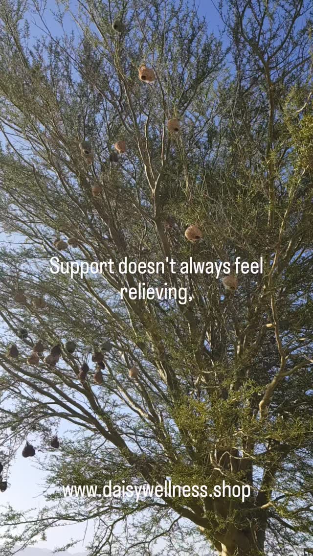 Many people expect support to immediately take away pain or stress (relief) but often, what support really does is create a steady ground to stand on (stability).
Stability is a foundation for change and it is what allows someone to start moving forward. Without it, change feels impossible.
#daisywellness #raahreiki #holistichealth #hypnotherapy
