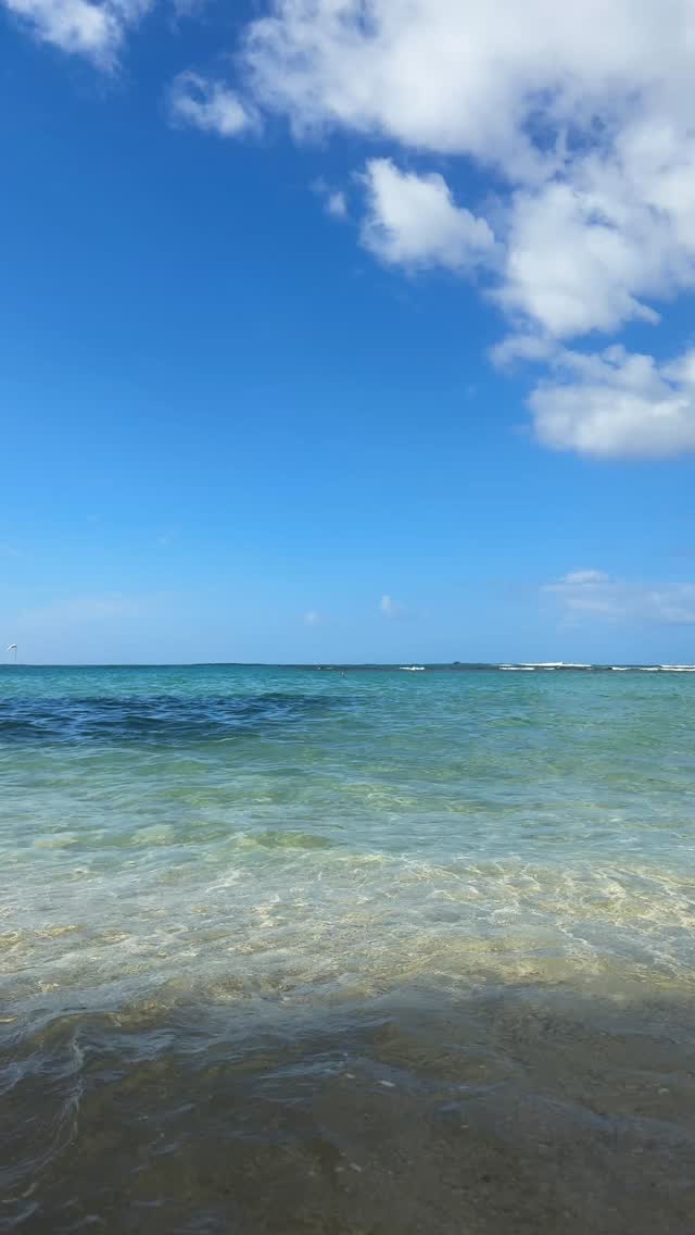 when your 9am cancels 🥱
#hawaii #canoe #kapuawaaexperiences #waikiki