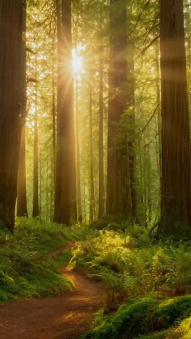 Natural health isn’t extreme — it’s a return.
A return to rhythms your body remembers.
A return to living in alignment with how we were designed to thrive.
This isn’t about rejecting medicine.
It’s about not ignoring the foundations of health.
✨ Real nourishment
✨ Gentle movement
✨ Rest, sunlight & nervous system support
When the foundations are in place, the body is better supported — naturally.
🌿 If you’re curious about a more grounded, lifestyle-first way to feel well,
send us a message or call 07880 439136 to chat about how we can support you.
#NaturalHealthUK #HolisticWellness #LifestyleMedicine #NervousSystemHealth #LighthouseHealth