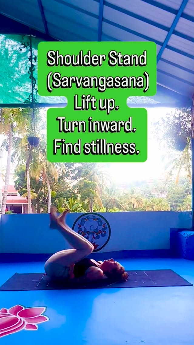 Day 17 of 31 days of yoga 🧘♀️
Shoulder Stand is a powerful inversion that invites introspection and calm.
This pose supports circulation, strengthens the core and shoulders, and encourages focus and balance while soothing the nervous system.
Move mindfully. Breathe steadily.
#2026 #challenge #shoulderstand #reels #yoga