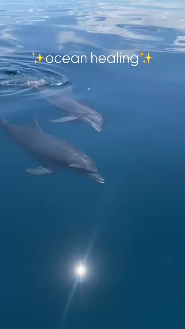 The ocean is ancient medicine breathing life into the world.
Its endless waves carry memories of the earth, washing the soul clean and reminding the heart how to be still. In its depths lives a quiet wisdom, a rhythm that heals without words. 🌊✨
Dolphins move through this blue sanctuary as messengers of joy and harmony. Their presence awakens laughter, connection, and trust, teaching us to listen beyond sound and feel beyond thought. They remind us that healing can be playful, gentle, and filled with love. 🐬💙
#OceanMedicine #DolphinSpirit #HealingEnergy #SacredWaters #NatureWisdom