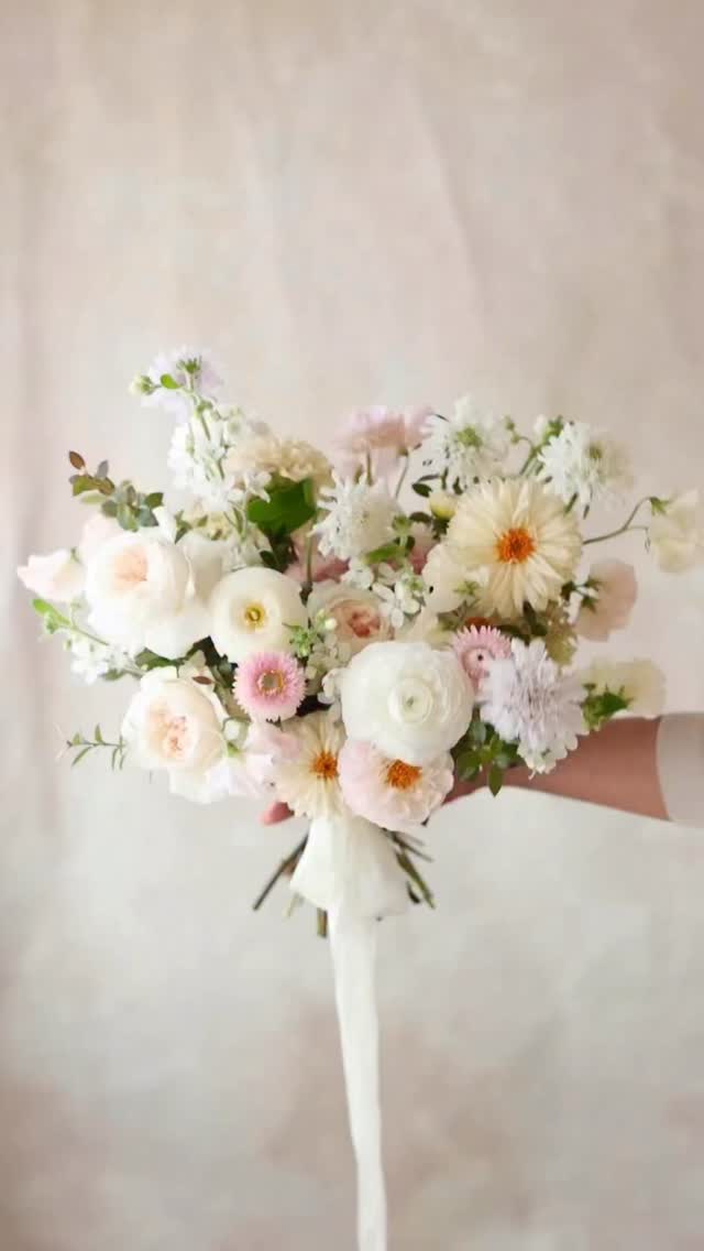 White bouquets with a touch of blush pink are often seen at weddings, and my eyes are easily drawn to vibrant or unique-colored flowers, but I feel a sense of peace and joy making white bouquets because there’s something about their pure, clean, sophisticated feeling that I adore 🌿
I created this bouquet last November and was lucky to have locally grown dahlias and delicate scabiosas from @connecticutflowercollective , along with strawflowers from my garden even in late fall.
I used to think that making my bouquets unique meant finding unusual orchids or rare colors and types of flowers, which can be challenging to source locally here. But I’ve realized that fresh, locally grown flowers that are in season in our area already make a bouquet special, and it’s all in how you design for each client and arrange the flowers, not just the types themselves ☺️
Here’s what I used in this bouquet:
- dahlia (white & blush)
- scabiosa (white & blush)
- strawflower (light pink)
- sweet pea (cream & light peach)
- tweedia (white)
- ranunculus (white)
- greenery from garden (blueberry)
Flower tool
- StemSlider bouquet tool
.
.
.
.
.
#stemslider #flowertool #weddingbouquets #flowerbouquets #handsfreebouquet