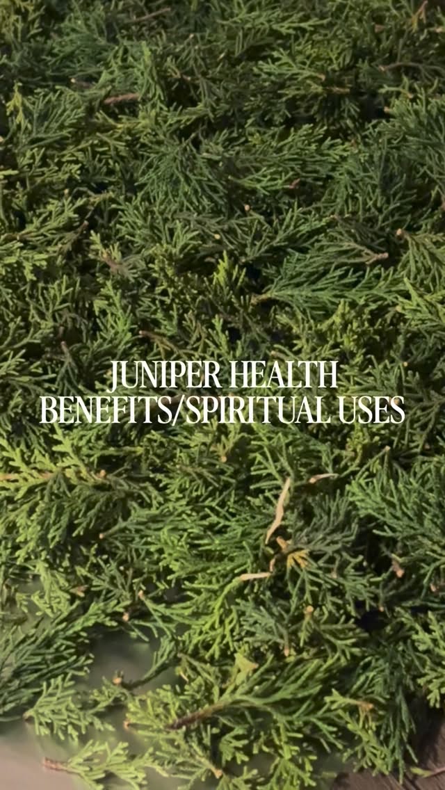 We had the privilege of foraging a little of Miss Juni over the holidays while visiting family. She’s been drying out in our healing room for a couple weeks now and is almost ready to work with. We’ve had so much fun familiarizing ourselves with this Texas native and are excited to keep learning more about Earths natural remedies.
#herbalism #juniper #cleansing #spirituality #foraging