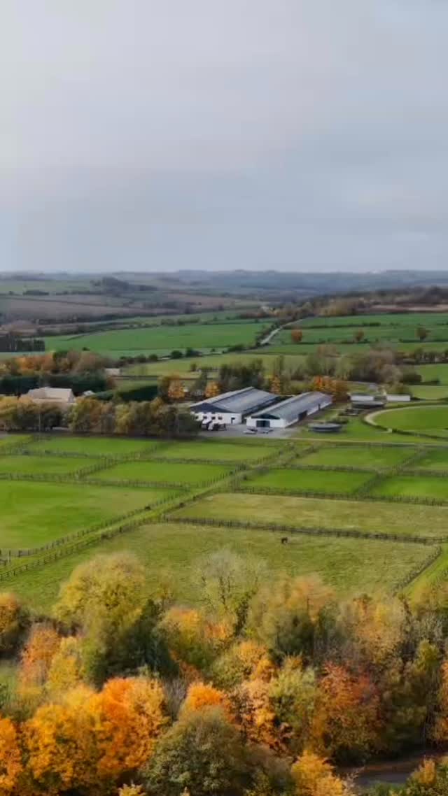Cotswold Club Equestrian
An exceptional 80 acre Equestrian Estate with Olympic Standard Facilities
Beautifully appointed Club Room and 36 @monarchequestrianstables along with the 18,300 sq ft indoor arena are just a few of the incredible amenities this facility has to offer.
For more details call @andrew_barnes_sothebysuk 07861 257559 or click the links in our bio. #barnesproperty #uksothebysrealty #thecotswolds #equestrian #countrylife