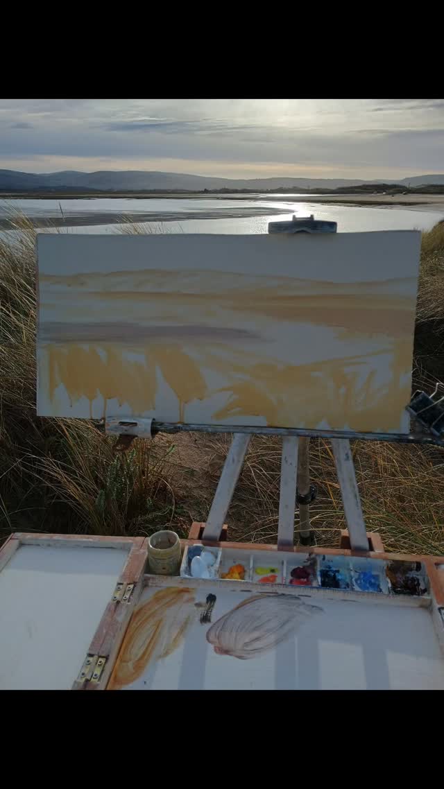 Beautiful sun light over the estuary 🌞