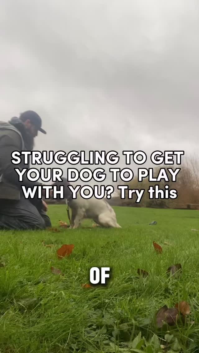 Struggling to get your dog to play?
Struggling with engagement on walks?
Struggling with recall?
Watch this feedback video I sent to a dog training client to help them understand what they need to do with their highly prey driven spaniel
Need help training your dog?
Pop us a dm and let’s have a chat about how we can help
#chalfontstpeter #chalfontstgiles #gerrardscross #dogwalking #dogtrainer
