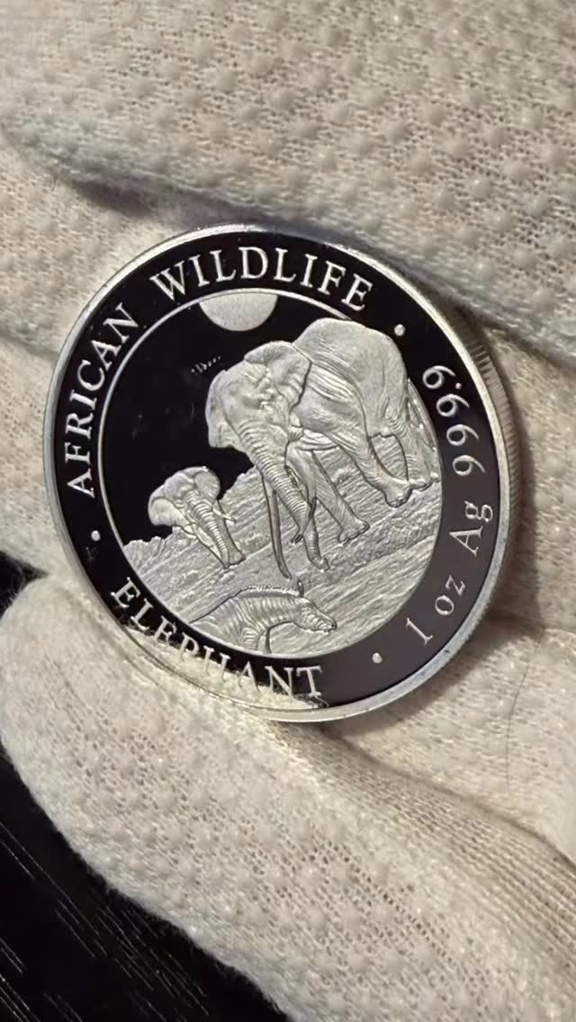Die Somalia Africa 1 oz Silbermünze ist frisch bei mir im Sortiment eingetroffen – ein echtes Highlight für Sammler und Liebhaber hochwertiger Silberstücke. Jede Münze besteht aus einer Unze Feinsilber und überzeugt durch ihr detailreiches, modernes Design.
🔗 Link in der Beschreibung/Bio
Bitte beachten: Keine Anlage- oder Finanzberatung.
📦 Versand & Sicherheit
Der Versand erfolgt versichert, abgestuft nach Warenwert:
DHL bis 500 €
Intex ab 500 € bis 25.000 €
Galle bis 500.000 €
So kommt deine Bestellung sicher bei dir an.
💳 Zahlungsmethoden
Klassisch per Vorkasse
Alternativ auch Krypto-Zahlung möglich
🚚 Lieferzeit
Die Lieferung erfolgt in der Regel innerhalb von 3–5 Werktagen.
🎁 Mengenrabatt
Beim Kauf von 25 Stück erhältst du –2 % Rabatt auf die Gesamtbestellung.
Perfekt für Sammler, Wiederverkäufer oder alle, die sich ein kleines Silber-Upgrade gönnen möchten.
#silbermünze #somaliaafrica #bullion #silberkaufen #collectibles