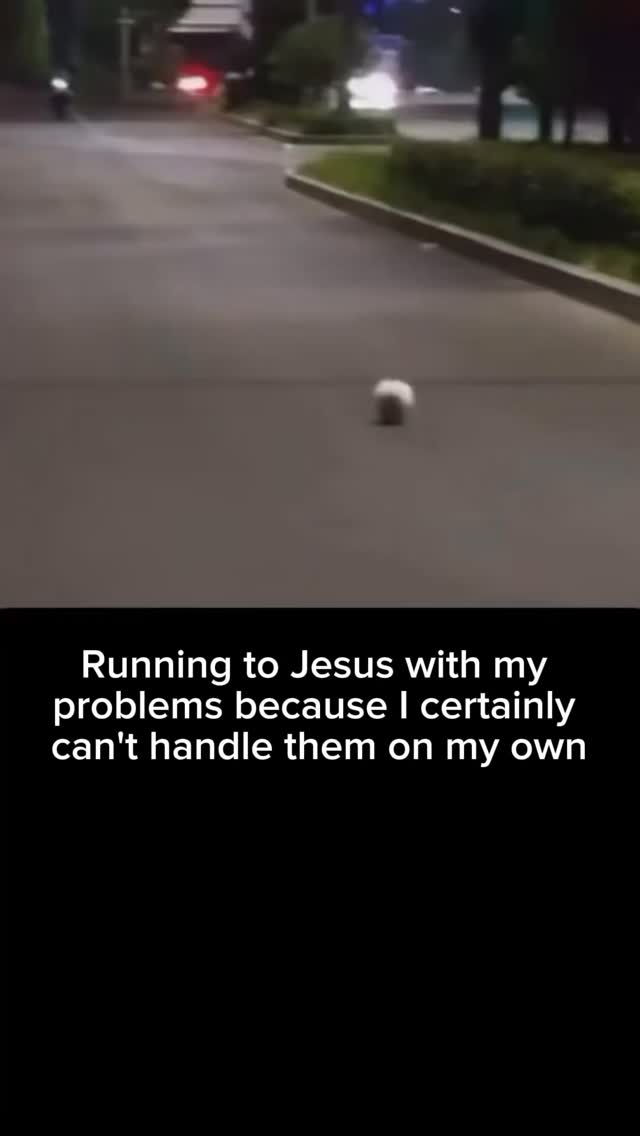 #catholicmemes
#faithwithhumor #surrendertogod #trustingod
#godsplan #faithoverfear #holyspirit #godisincontrol
#surrendertogod #walkbyfaith #faithjourney