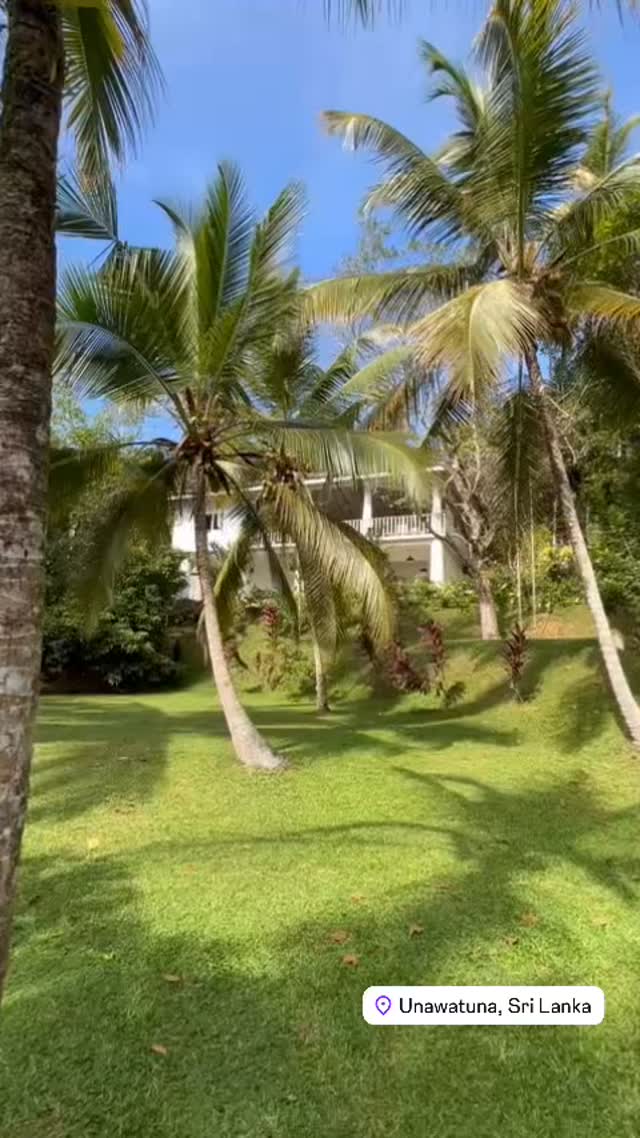 ☘️ Imagine starting your day here, with nothing but birds, monkeys, nature and breeze. Your stay awaits 🐦 🦎 🐒
#travel #naturelover #hotel #paradise #peaceful