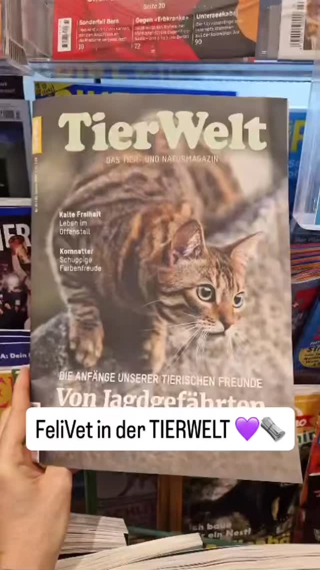 🤩 So cool: Wir sind in der aktuellen Ausgabe der @tierweltonline drin! Carol Zahnd erzählt darin, wie es zur Gründung ihrer eigenen Katzenpraxis kam. 😻 Wir freuen uns sehr, dass unsere Praxis auf so viel Interesse stösst. Das Telefon läutet auch schon sehr regelmässig und der Kalender füllt sich. Wer auch einen Termin haben möchte – z.B. für einen Rundum-Check oder eine Impfung – erreicht uns unter 032 355 11 11 💜 #katzen #katzenliebe #solothurn