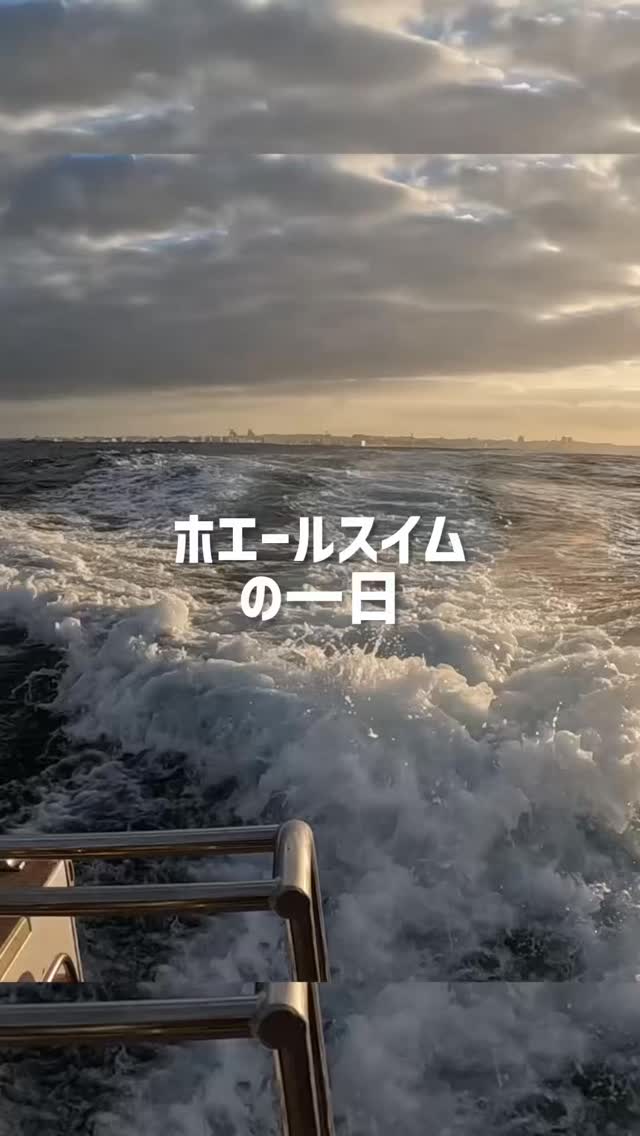 今年はたまーにホエールスイム開催します!
南国に子育てにくるクジラたちにストレスを与えないようにリスペクトを持って接しましょう!
ーーーーーーーー
ハイサイ!沖縄のダイバーのコージーです!
沖縄の海でダイビングを楽しむ動画を作ってみました^_^
良いなと思ったら高評価とチャンネル登録をお願いします。
皆さんの温かいコメントで励まされています。知らんけど^_^
ーーーーーーーー
沖縄本島中北部の海で超楽しいダイビングスクールを開催しています
https://www.awoddiving.com/
※ホームページからご予約可能です。
ーーーーーーーー
インスタグラム📸
ID/awoddiving_okinawa
ーーーーーーーー
#ホエールスイム #沖縄ダイビングショップ #スキューバダイビング #scubadiving