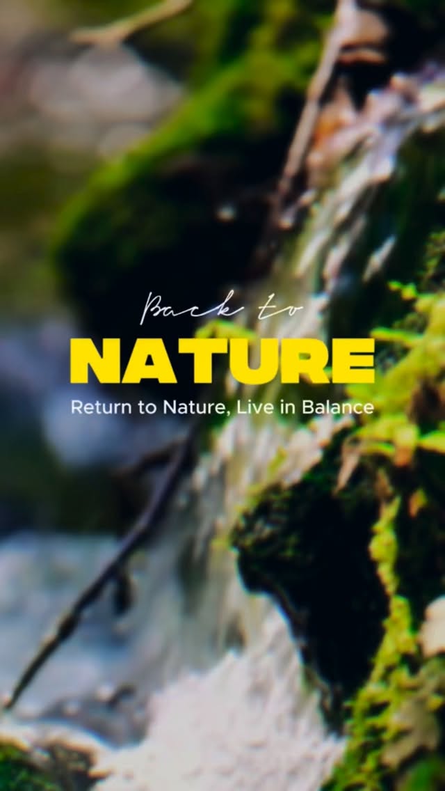 Nas trilhas, nunca estamos sozinhos. A fauna está ali, discreta, observando, vivendo no seu próprio ritmo. Aves, insetos, répteis, mamíferos e tantos outros seres que fazem parte do equilíbrio da floresta e transformam cada caminhada em um encontro especial.
Esses animais não são atração. São moradores. Nossos amigos selvagens que merecem respeito, proteção e distância. Ver um bicho na natureza é um privilégio, não um direito. É observar sem interferir, admirar sem tocar, registrar apenas na memória ou na lente, nunca nas mãos.
Proteger a fauna é cuidar do lugar que nos acolhe. É não alimentar, não perseguir, não deixar lixo, não fazer barulho excessivo. Quanto mais consciente é a nossa presença, mais rica e verdadeira se torna a experiência.
Desfrutar da natureza é também assumir a responsabilidade de preservá-la. Para que esses encontros continuem acontecendo hoje, amanhã e para as próximas gerações.
#fauna #faunabrasileira #animaissilvestres #animal #animallovers