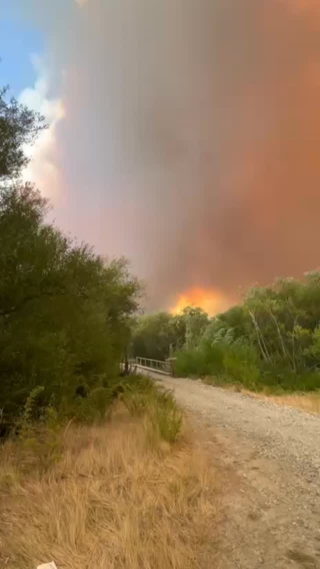Podés donar directo desde la app de @mercadopago.arg para ayudar en la emergencia por los incendios en Patagonia ❤️🩹 sino directo a nuestro ALIAS: CircuitoVerdeBari