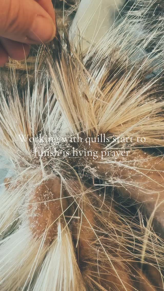 #porcupinequills
