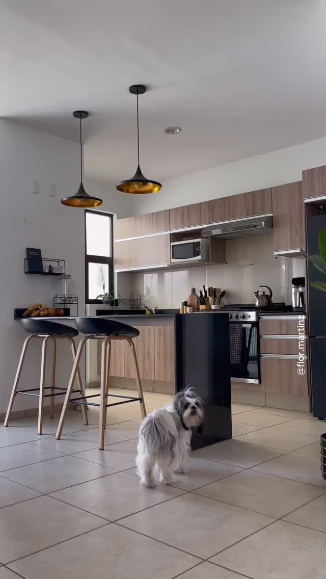 ❌😖No medir antes de comprar puede ser tu peor error en decoración y a mí me pasó hace 6 años cuando compré estos bancos.
No puedo creer que haya pasado tanto tiempo hasta cambiarlos 🤭 la realidad es que jamás los usé por lo mismo. Así que si te ha pasado cuéntame, te comprendo aunque es un error que jamás volveré a cometer 💪🏽
#alturadebancosenbarra #barra #bancos #taburetes