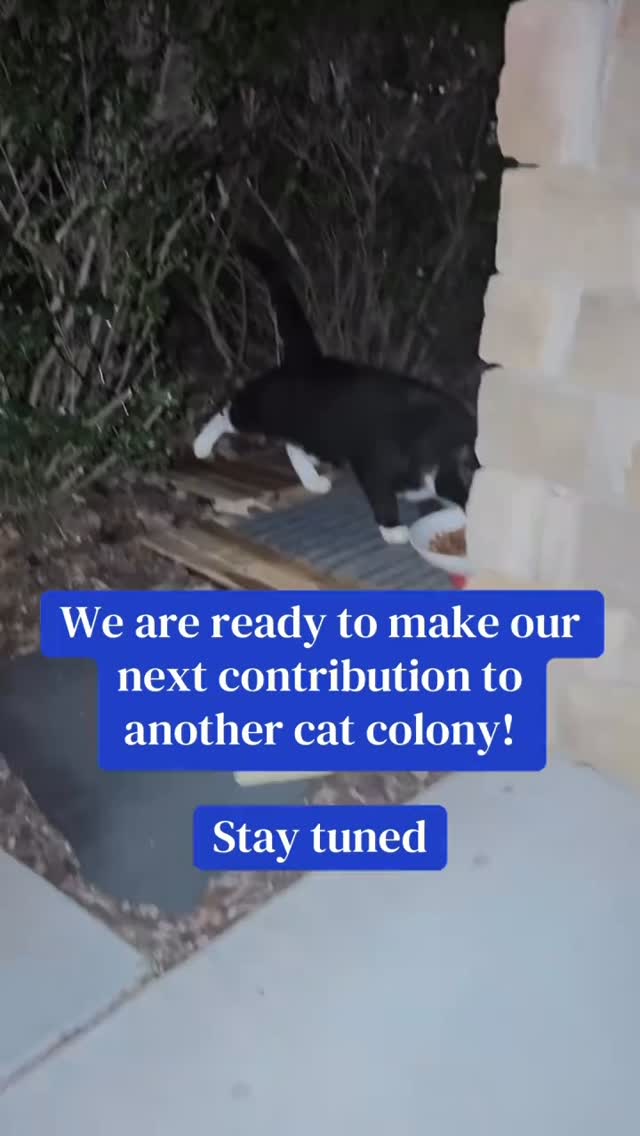 We are very excited to make our next contribution to a cat colony in Mississippi! 🐈🌙💙✨
Stay tuned.
#tnr #catrescue #cats #feralcat #communitycats