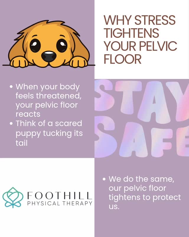 A tight pelvic floor may look like urinary urgency, frequency, constipation and pain.
Did you know that our pelvic floor muscles attach to (and "tuck") our tail... our coccyx?
Healing starts with feeling safe
👉share with 3 friends for empowerment and health!
#Chronicpelvicpain #Pudendalneuralgia #Vulvodynia #dyspareunia #pelvicpain #pelvichealth #pelvicfloorphysicaltherapy #pelvicpt #pelvicfloor #chronicpain #lowbackpainrelief #lightbladderleakage #constipation
