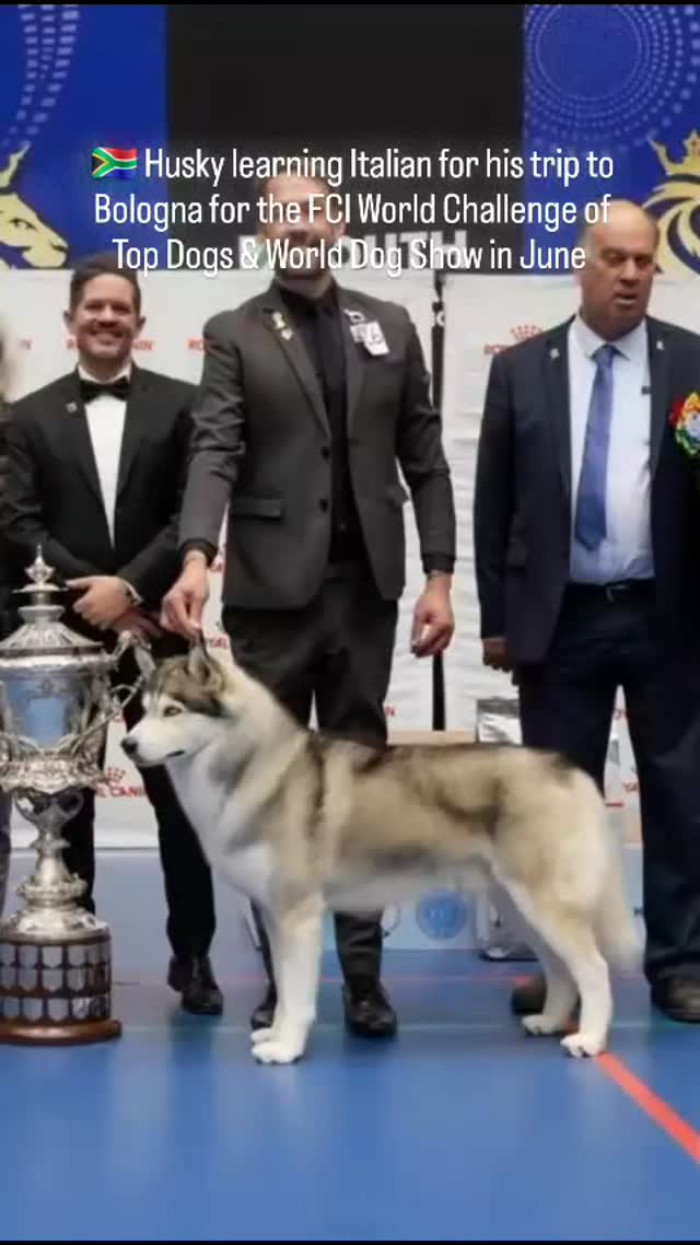 Thank you @backabuddy for the promo reel.
https://www.backabuddy.co.za/campaign/send-knox-to-italy-for-the-wds-2026