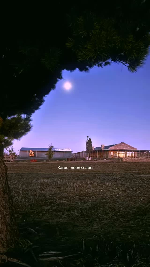 If you’ve never seen a Karoo full moon… you’re missing one of life’s quiet wonders.
Out here, the horizon stretches so wide it feels like the moon has all the space in the world to rise, slow, golden, and impossibly large. The land glows, the air stills, and for a moment the whole Karoo holds its breath.
Nights like these make you forget your phone, your inbox, your rushing.
It’s just you, the cool desert air, and a moon so bright it casts shadows across the veld.
If you’re looking for a reason to visit, let this be it.
#luxuryecotravel #darkskyreserve #travelsouthafrica #karoo #karoolife
karooaccommodation hikingadventures hikingsouthafrica cheetahconservation cheetah sustainabletravel stargazing astrophotography sutherland astronomylover wideopenspaces natureescape nightphotography nightsky astronomy thisissouthafrica