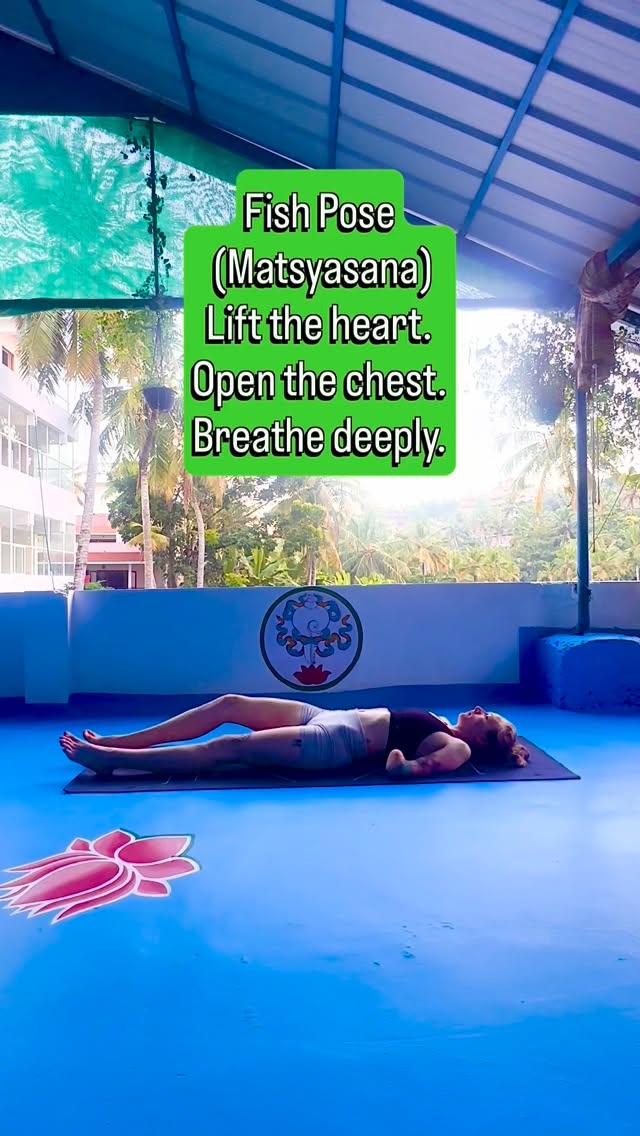 Day 16 of 31 days of yoga 🧘♀️
Fish Pose is a gentle heart opener that counteracts slouching and encourages expansive breathing.
This pose stretches the chest, throat, and shoulders, supports spinal extension, and promotes calm, open energy.
Lead with your heart.
#2026 #challenge #fish #fyp #yoga