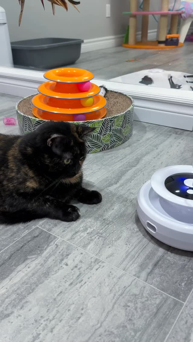 Cutest girl 🍊🧡