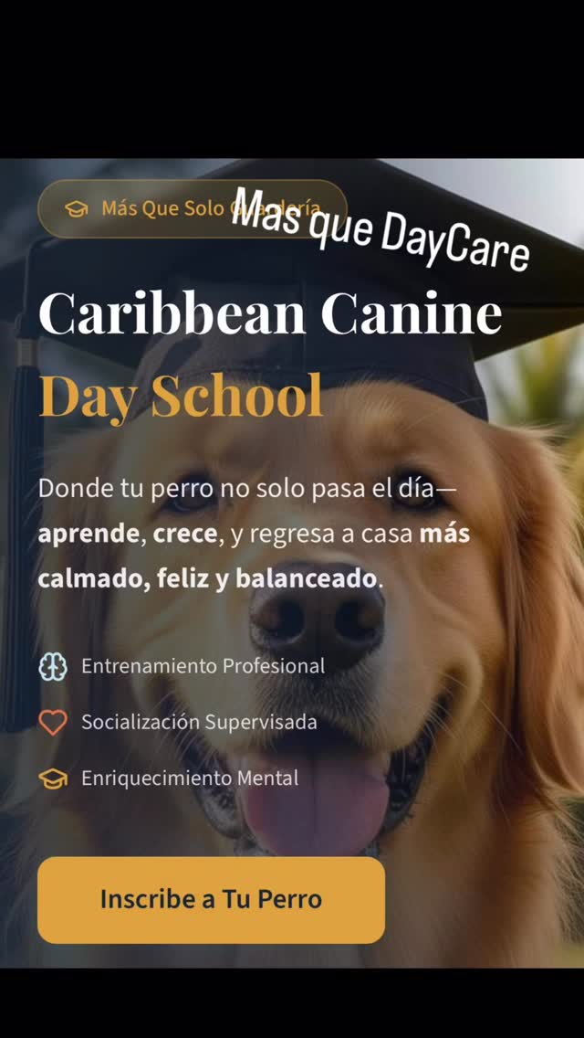 ¿Para Quién Es?
Profesionales Ocupados
Trabaja sin culpa sabiendo que tu perro está aprendiendo, jugando y siendo cuidado por profesionales—no solo sentado en casa.
Perros con Mucha Energía
Más que solo paseos. Proporcionamos el ejercicio físico Y la estimulación mental que las razas de alta energía realmente necesitan.
Un Hogar Más Tranquilo
Recoge a un perro cansado, feliz y bien portado al final del día. Di adiós a los comportamientos destructivos por aburrimiento. Book NOW! Link en Bio
