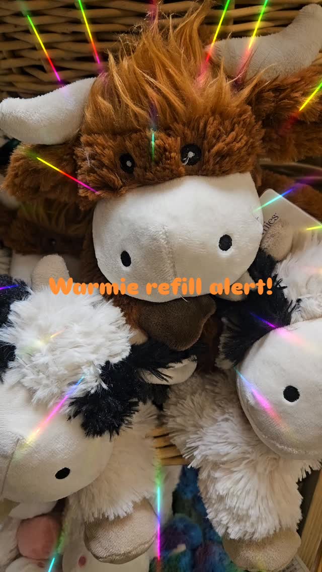 The Highland cow is in! #warmies #highlandcow