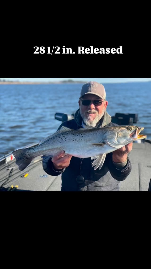 Gators don’t happen everyday but that’s 2 over 7 lbs. in 2026. #inshorefishing #inshore #troutfishing #trout #speckledtrout #gator #gatortrout #release