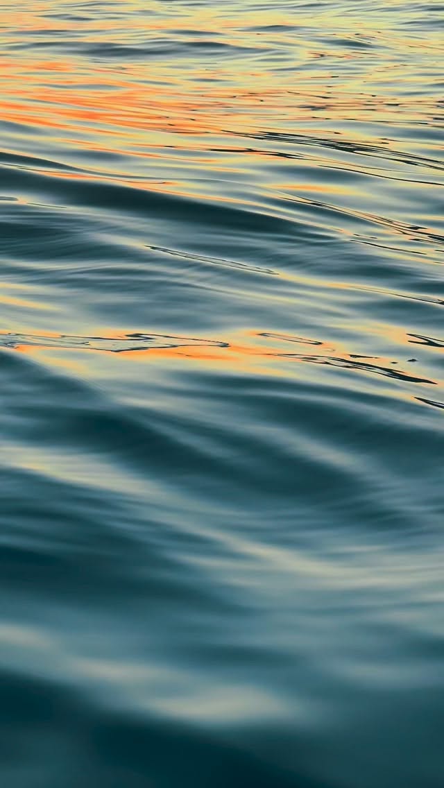 Antes do dia nascer, a Ilha Grande ainda está em silêncio. O mar calmo, o céu começando a mudar de cor e a canoa havaiana deslizando sobre a água. Essa não é apenas uma atividade. É uma experiência de presença, conexão e contemplação.
A Rodrigo Índio Tours te convida para viver o nascer do sol de um jeito único. Remando em canoa havaiana, sentindo o ritmo do mar, o som das pás na água e a energia do primeiro sol tocando o horizonte. Um momento de equilíbrio entre corpo, mente e natureza.
Não é sobre velocidade, é sobre sentir. Cada remada acompanha o despertar do dia, cada pausa revela um cenário diferente, cada instante fica marcado. Uma experiência segura, conduzida por profissionais, respeitando o mar e o tempo da natureza.
Para quem busca algo verdadeiro, simples e profundo, essa vivência em Ilha Grande é inesquecível. Comece o dia do jeito certo. Com o sol nascendo à sua frente e o oceano como caminho.
#ilhagrande #angradosreis #canoahavaiana #nascerdosol #riodejaneiro