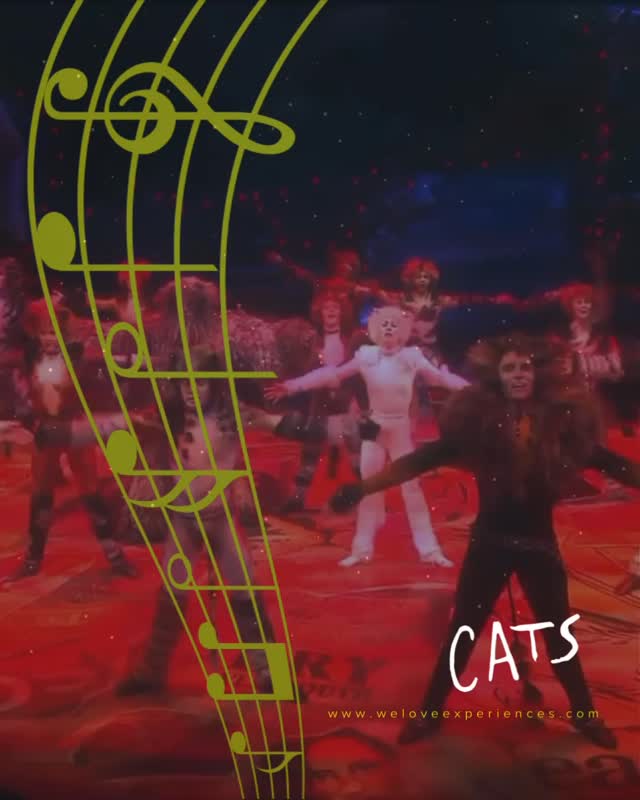 “Experiences like these do not happen often in many countries, but when they do, they create unforgettable moments for both audiences and artists.” @apostolos._
🐱 @catsmusical #weloveexperiences
.
.
.
#musicalexperience #artexperience #musical #welovetheater