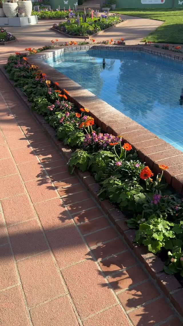 Pansies! Loved painting today with all of you!
Ps: even though the garden is under construction we are still painting there so come join us in February!
#paintingclass #watercolor