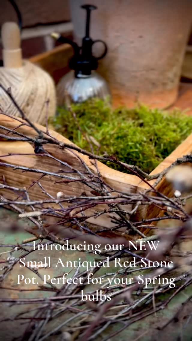 I love these new Antiqued Red Stone Pots that have just arrived for Spring. Their antiqued style looks like they have been left outside a potting shed for years with such a beautiful weathered look. I enjoyed potting them up with supermarket Hyacinths, moss from the lawn, fallen branches and then dotting them around the house, adding a sense of what’s to come soon!
Not long until Spring….
#hyacinths #pottedbulbs #boxwoodhomeinteriors #forcingspringbulbs #antiquepots